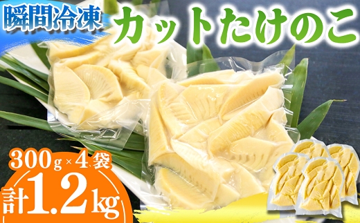 【先行受付】瞬間冷凍 カットたけのこ 計1.2kg(300g×4袋) 令和8年産 4月下旬から 熊本県 南関町産 無添加 和食 素材 野菜 小分け 個包装 筍 タケノコ