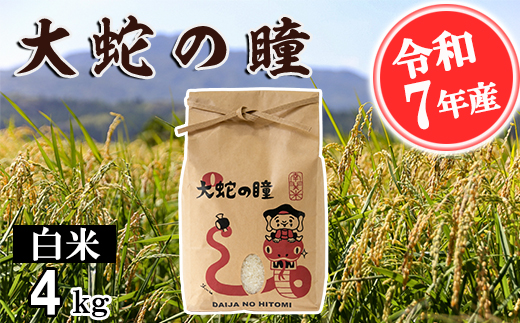 【令和7年産】大蛇の瞳 白米 4kg 精米 熊本県 南関町産 単一原料米 コシヒカリ 産地直送 コメ お米 ごはん