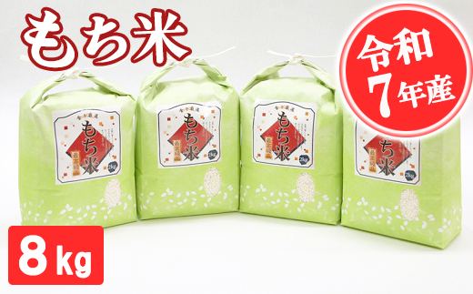 【令和7年産】もち米 8kg  精米 熊本県 南関町産 産地直送 餅 赤飯 おこわ