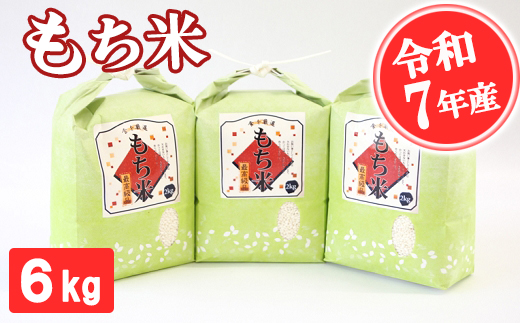 【令和7年産】もち米 6kg  精米 熊本県 南関町産 産地直送 餅 赤飯 おこわ