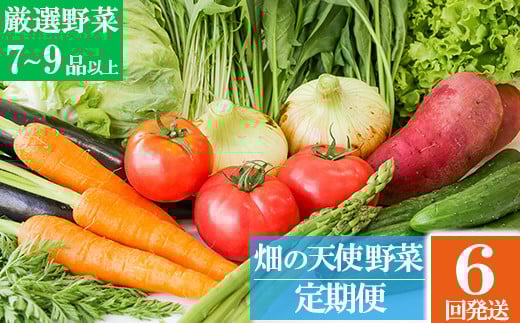 【定期便 6ヶ月】｢畑の天使｣定期便(年6回)《野菜のみ》おまかせ 詰め合わせ 旬 野菜セット 新鮮 こだわり 朝採れ 採れたて フレッシュ サラダ 料理 人気 おすすめ 産地直送 熊本県 南関町