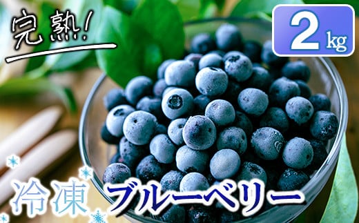 完熟 冷凍ブルーベリー 加工用途におすすめ2kg 南関町産｜JALふるさと