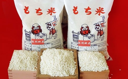 【令和7年産】南関産ヒヨクモチ 6kg 精米 熊本県 南関町産 産地直送 餅 赤飯 おこわ