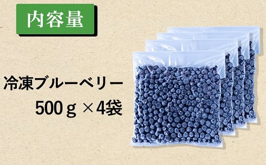 完熟 冷凍ブルーベリー　加工用途におすすめ2kg 南関町産