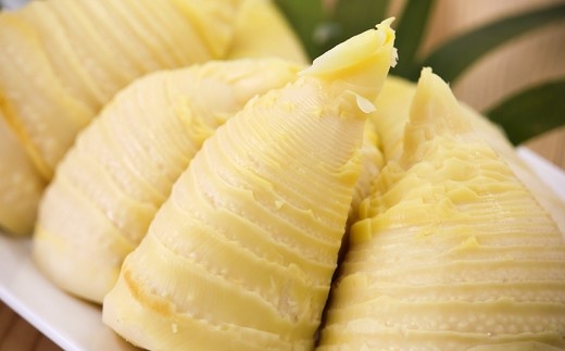 【先行受付】無添加たけのこ水煮 計900g(300g×3袋) 令和8年産 4月上旬から 熊本県 南関町産 春 新鮮 惣菜 小分け 和食 筍 タケノコ