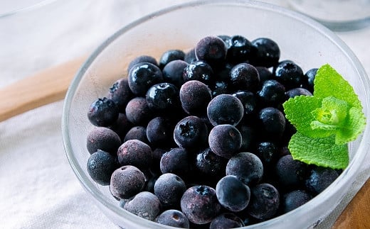 完熟 冷凍ブルーベリー　加工用途におすすめ1.5kg 南関町産