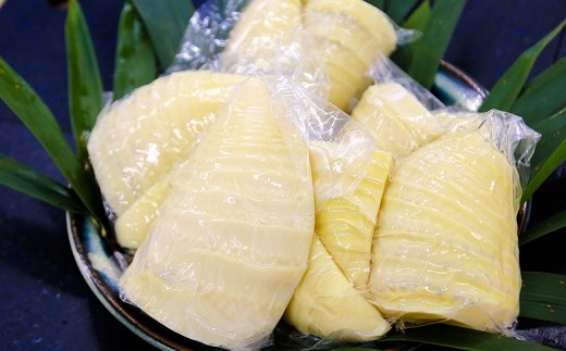 【先行受付】無添加たけのこ水煮 計900g(300g×3袋) 令和8年産 4月上旬から 熊本県 南関町産 春 新鮮 惣菜 小分け 和食 筍 タケノコ