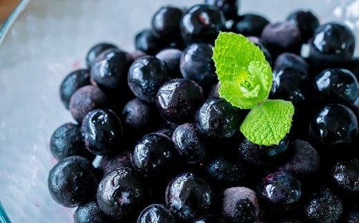 完熟 冷凍ブルーベリー　加工用途におすすめ2kg 南関町産