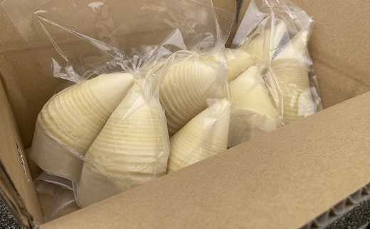 【先行予約】生産農家が作る！朝堀 水煮たけのこ 1.6kg 令和8年産 4月下旬から発送 無添加 熊本県 南関町産 若手 農家 惣菜 筍 和食