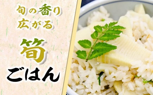 【先行受付】無添加たけのこ水煮 計900g(300g×3袋) 令和8年産 4月上旬から 熊本県 南関町産 春 新鮮 惣菜 小分け 和食 筍 タケノコ