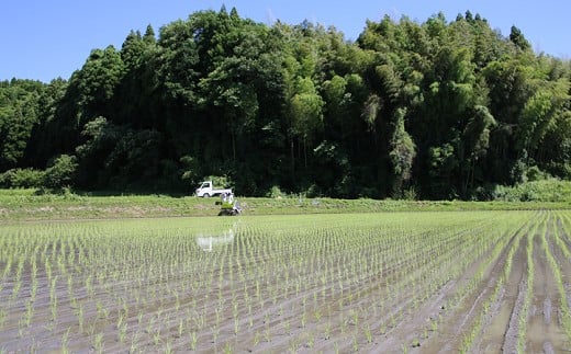 縲蝉サ、蜥7蟷エ逕」縲鷹屮髢「遯∫エ驕疲千アウ 逋ス邀ウ 300gテ8蛟 繧ュ繝・繝シ繝 邊セ邀ウ 辭頑悽逵 蜊鈴未逕コ逕」 蜊倅ク蜴滓侭邀ウ 繝偵ヮ繝偵き繝ェ 逕」蝨ー逶エ騾 繧ウ繝。 縺顔アウ 逾磯。倡アウ