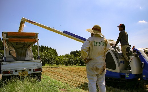 縲蝉サ、蜥7蟷エ逕」縲大次霎イ蝣エ 縺ォ縺薙∪繧 逋ス邀ウ 5kg 邊セ邀ウ 辭頑悽逵 蜊鈴未逕コ逕」 蜩∬ウェ縺昴ョ縺セ縺セ 蜊倅ク蜴滓侭邀ウ 霎イ螳カ逶エ騾 謨ー驥城剞螳 繧ウ繝。