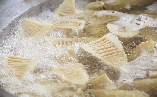 【先行受付】瞬間冷凍 カットたけのこ 計1.2kg(300g×4袋) 令和8年産 4月下旬から 熊本県 南関町産 無添加 和食 素材 野菜 小分け 個包装 筍 タケノコ