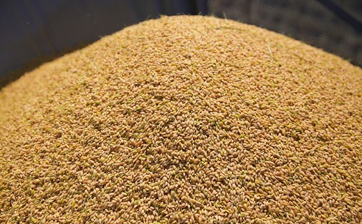 縲蝉サ、蜥7蟷エ逕」縲大次霎イ蝣エ 縺ォ縺薙∪繧 逋ス邀ウ 5kg 邊セ邀ウ 辭頑悽逵 蜊鈴未逕コ逕」 蜩∬ウェ縺昴ョ縺セ縺セ 蜊倅ク蜴滓侭邀ウ 霎イ螳カ逶エ騾 謨ー驥城剞螳 繧ウ繝。