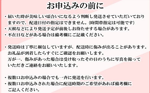 【先行予約】農家直送 南関町産いちご(ゆうべに) 計1㎏ 4パック 家庭用 1月上旬～3月末 順次発送　Sから3Lまで混在