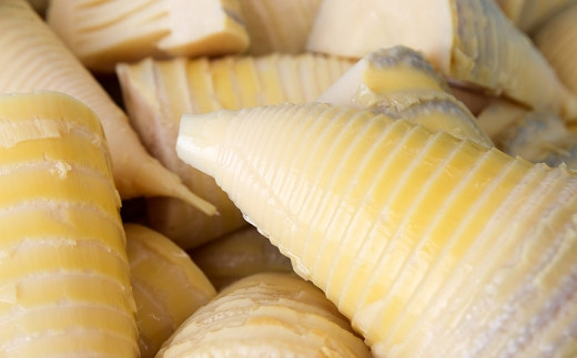 【先行受付】瞬間冷凍 カットたけのこ 計1.2kg(300g×4袋) 令和8年産 4月下旬から 熊本県 南関町産 無添加 和食 素材 野菜 小分け 個包装 筍 タケノコ