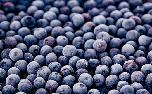 完熟 冷凍ブルーベリー　加工用途におすすめ1.5kg 南関町産