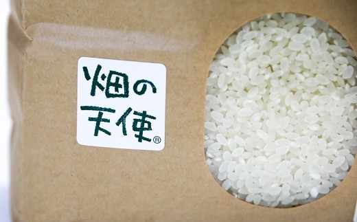 縲蝉サ、蜥7蟷エ逕」縲大次霎イ蝣エ 縺ォ縺薙∪繧 逋ス邀ウ 5kg 邊セ邀ウ 辭頑悽逵 蜊鈴未逕コ逕」 蜩∬ウェ縺昴ョ縺セ縺セ 蜊倅ク蜴滓侭邀ウ 霎イ螳カ逶エ騾 謨ー驥城剞螳 繧ウ繝。