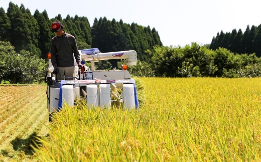 縲蝉サ、蜥7蟷エ逕」縲大次霎イ蝣エ 縺ォ縺薙∪繧 逋ス邀ウ 5kg 邊セ邀ウ 辭頑悽逵 蜊鈴未逕コ逕」 蜩∬ウェ縺昴ョ縺セ縺セ 蜊倅ク蜴滓侭邀ウ 霎イ螳カ逶エ騾 謨ー驥城剞螳 繧ウ繝。