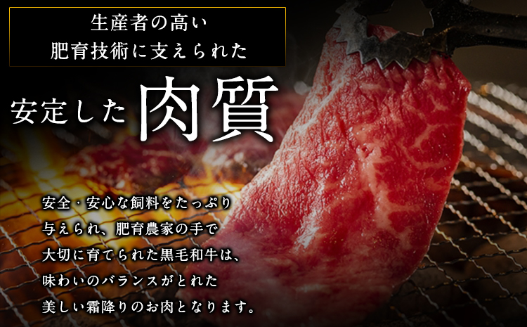 牛肉 くまもと黒毛和牛 焼肉用 1000g 肉 黒毛和牛 焼肉 長洲501《30日以内に出荷予定(土日祝除く)》