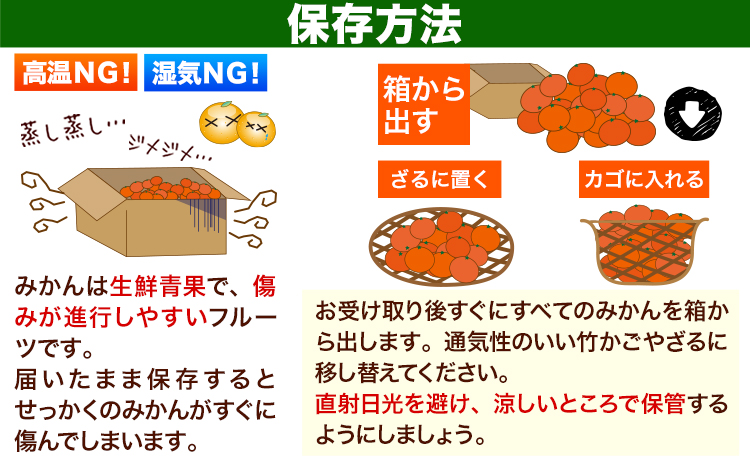 ご家庭用 熊本 大粒みかん 約2.5kg (3L～5Lサイズ)大玉 みかん 先行予約 熊本 ちょっと 訳あり 傷 たっぷり 熊本県産 熊本県 期間限定 フルーツ 旬 柑橘 長洲町 大粒みかん《2025年1月中旬-2月末頃より出荷予定》