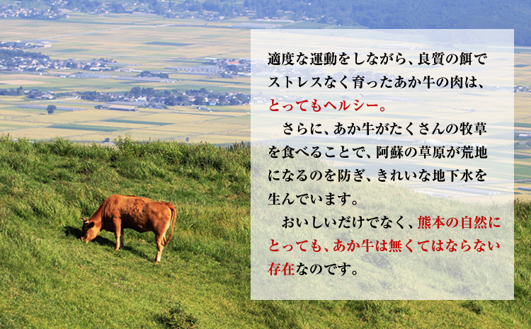 くまもとあか牛ブロック ローストビーフにピッタリ！レシピ付き 熊本県産あか牛1000g(500g×2個) 熊本あか牛 赤牛 あかうし《2023年1月中旬-3月末頃に出荷予定》