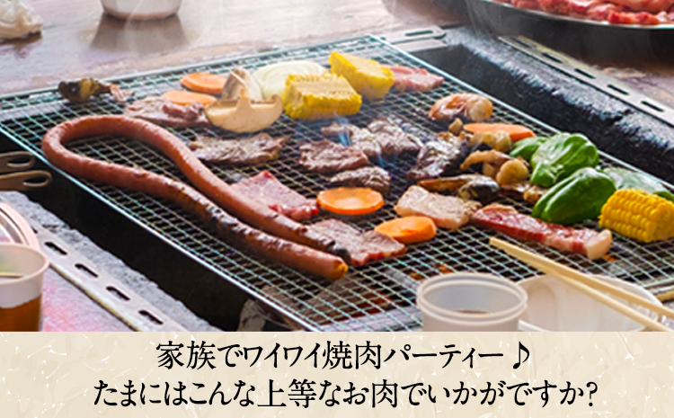 【3ヶ月定期便】 肥後のあか牛 焼き肉用 約500g×3ヶ月 牛肉 長洲501 熊本 特産 あか牛《お申込み月の翌月から出荷開始》