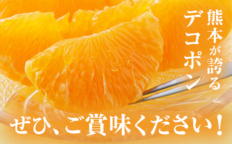 デコポン 約3kg 日本フルーツ株式会社 熊本県 長洲町 《2026年1月下旬-2月末頃出荷予定》 熊本県 長洲町 送料無料 デコポン 果物 秀品