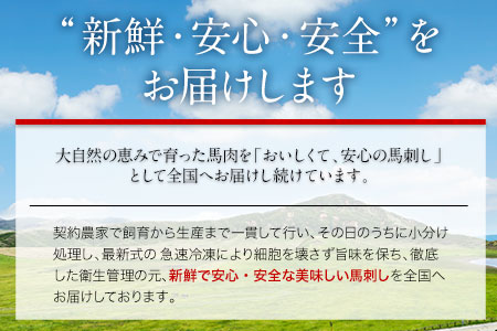 赤身馬刺し ロース 200g ブロック数不定 醤油付き 5ml×2袋 長洲501《30日以内に出荷予定(土日祝除く)》 熊本県 長洲町 馬肉 馬刺し 赤身 ロース 熊本県産 国産