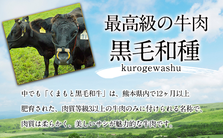 牛肉 くまもと黒毛和牛 焼肉用 1000g 肉 黒毛和牛 焼肉 長洲501《30日以内に出荷予定(土日祝除く)》