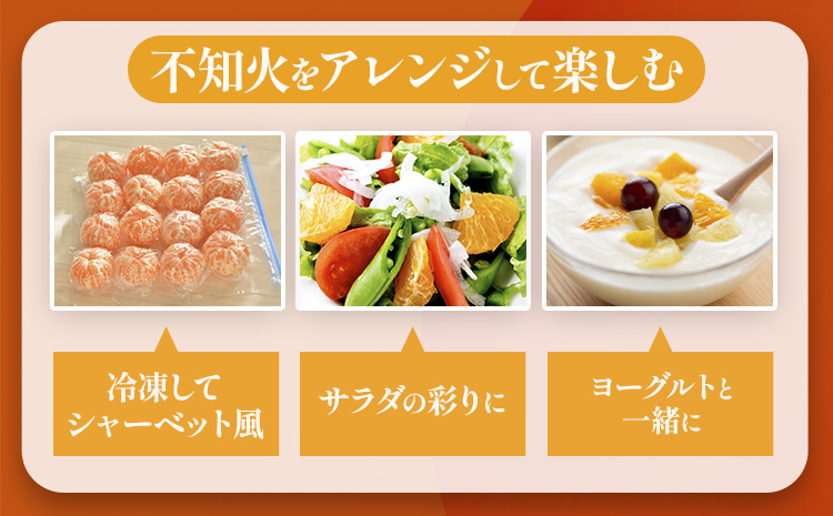 不知火（デコポン同品種） 約5kg 日本フルーツ株式会社 熊本県 長洲町 《2026年1月下旬-2月末頃出荷予定》 デコポン 果物 秀品 フルーツ スイーツ デザート ギフト ご贈答