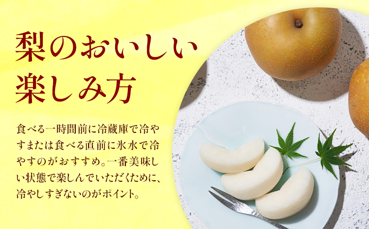 梨 秀品 秋月梨 約1.8kg（4〜7玉） あきづき 日本フルーツ《9月上旬-9月末頃出荷》熊本県 長洲町 なし 梨 果物 フルーツ デザート ギフト ご贈答