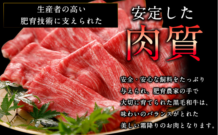 【5ヶ月定期便】牛肉 くまもと黒毛和牛 すき焼き用 500g 長洲町L（桜屋）《お申込み月の翌月から出荷開始》 定期 計5回お届け 熊本県 長洲町 送料無料 黒毛和牛 牛肉 肉 すき焼き