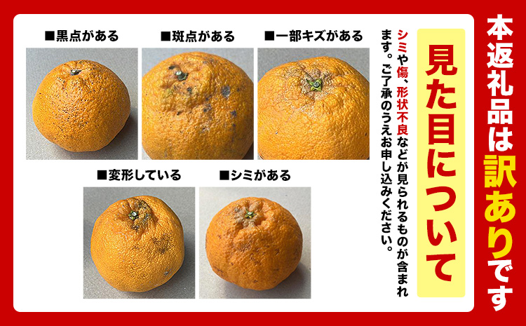 ãå®¶åºçš ãã³ã¿ãã çŽ2.5kg 6ïœ12çååŸã1-5æ¥ä»¥å
ã«åºè·äºå®(忥ç¥é€ã)ããã³ãã³ïŒäžç¥ç«ïŒãšååçš® çæ¬çç£ çæ¬ç é·æŽ²çº èš³ãã