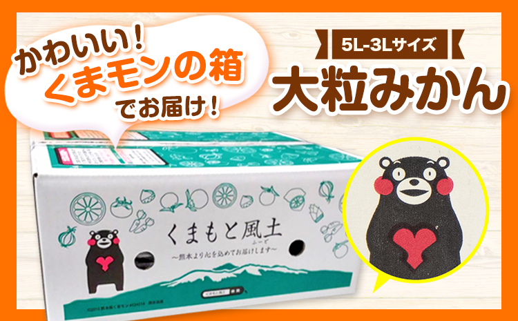 ご家庭用 熊本 大粒みかん 約5kg (3L～5Lサイズ)大玉 みかん 先行予約 熊本 ちょっと 訳あり 傷 たっぷり 熊本県産 熊本県 期間限定 フルーツ 旬 柑橘 長洲町 大粒みかん《2025年1月中旬-2月末頃より出荷予定》