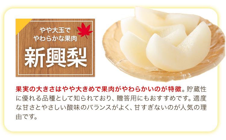 ＜2026年先行予約＞ 梨 くまもと梨 秋 旬 なし 幸水 豊水 先行 果物 くだもの フルーツ 送料無料 あきづき 甘太 新高 新興 約4.5～5kg(8玉～22玉前後) 熊本県産【着日指定不可】《8月下旬-11月中旬頃出荷》旬 果物 お取り寄せ ナシ