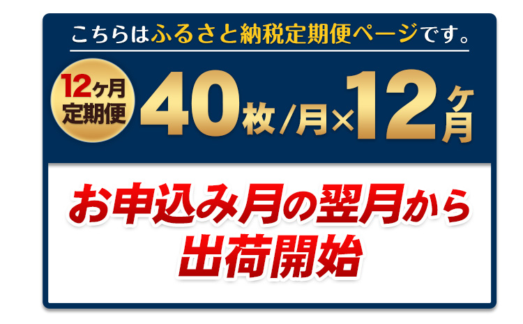 【12ヶ月定期便】 訳あり 一番摘み 有明海産 海苔 40枚  《お申込み月の翌月から出荷開始》熊本県産（有明海産） 海苔 定期便 全形40枚入り 長洲町