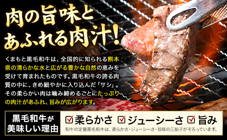 牛肉 A4～A5等級 黒毛和牛 切り落とし くまもと黒毛和牛 上 ロース 焼肉切り落とし 900g 《30日以内に出荷予定(土日祝除く)》熊本県 長洲町 上ロース 焼肉用 焼肉 肉 お肉 和牛 A5 A4 300g 小分け リブロース サーロイン