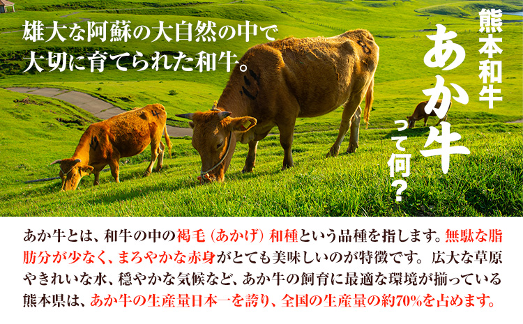 あか牛 カレー 詰め合わせ セット 2種 4食 セット あかうし 三協畜産 《60日以内に出荷予定(土日祝除く)》 熊本県 長洲町 カレー ビーフカレー 熊本和牛 牛 送料無料 レトルト