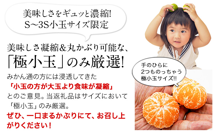 èš³ãã ã¿ãã å°çã¿ãã ããŸããšå°çã¿ãã 2.5kg (2.5kgÃ1ç®±) ç§ æ¬ äžæã å· ãå®¶åºçš SDGs å°ç ãã£ã·ã çæ¬ç ç£ S-3Sãµã€ãº ãã«ãŒã æ¬ ææ© é·æŽ²çº æž©å·ã¿ããã9æäžæ¬-12æäžæ¬é åºè·ã