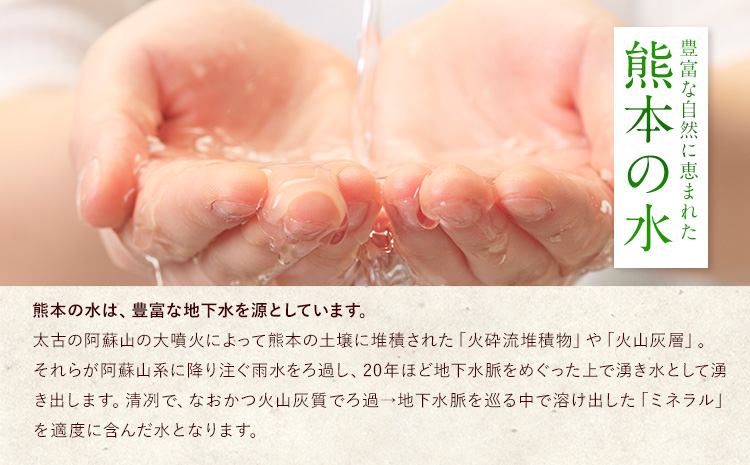 米 無洗米 令和6年産 新米 特A受賞品種 ひのひかり 森のくまさん 米 送料無料 20kg 食べ比べ ヒノヒカリ 厳選 熊本県産(長洲町産含む) 米 お米 森くま 《11月-12月より出荷予定》長洲町