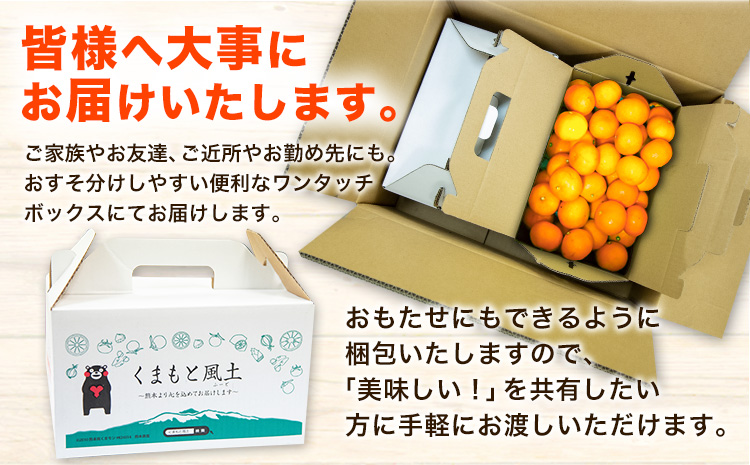 訳あり みかん 小玉みかん くまもと小玉みかん 10kg (10kg×1箱)  3ヶ月定期便 秋 旬 不揃い 傷 ご家庭用 SDGs 小玉 たっぷり 熊本県 産 S-3Sサイズ フルーツ 旬 柑橘 長洲町 温州みかん《9月頃出荷》