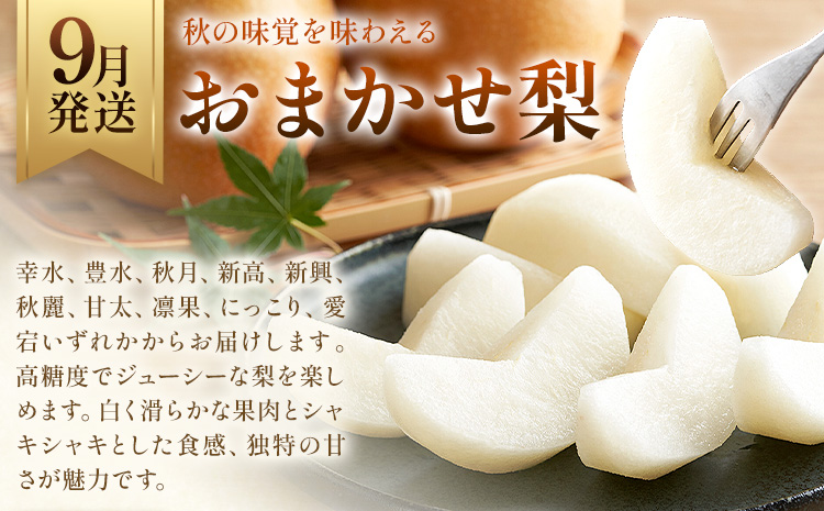 旬のフルーツ定期便 リッチ 2ヶ月連続 秀品 計10kg 日本フルーツ株式会社《2026年9月上旬-10月末頃出荷》定期便 熊本県 長洲町 おまかせ 梨 極早生みかん 果物 フルーツ スイーツ デザート ギフト ご贈答