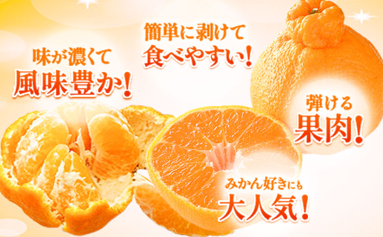 ãå®¶åºçš ãã³ã¿ãã çŽ2.5kg 6ïœ12çååŸã1-5æ¥ä»¥å
ã«åºè·äºå®(忥ç¥é€ã)ããã³ãã³ïŒäžç¥ç«ïŒãšååçš® çæ¬çç£ çæ¬ç é·æŽ²çº èš³ãã