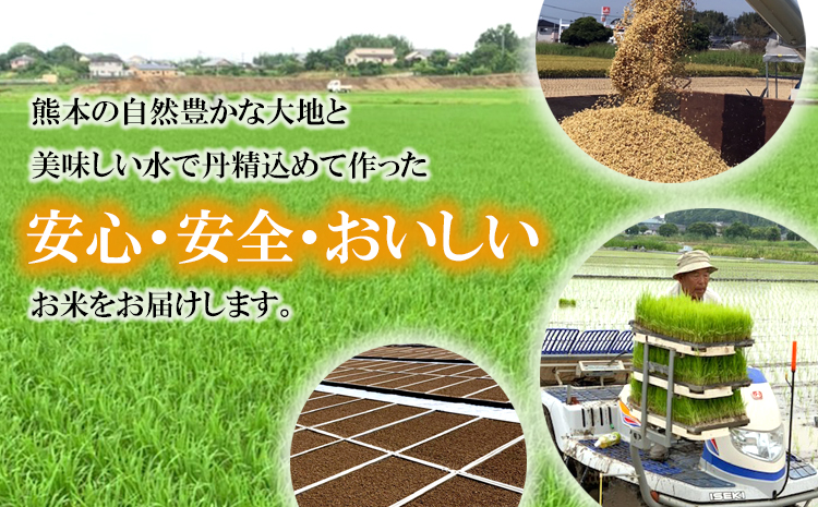 令和7年産 森のくまさん 10kg 株式会社羽根《60日以内に出荷予定(土日祝除く)》熊本県産 白米 精米 森くま もりくま 米
