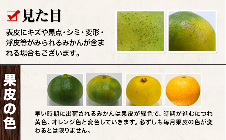 訳あり みかん 小玉みかん くまもと小玉みかん 10kg (10kg×1箱)  3ヶ月定期便 秋 旬 不揃い 傷 ご家庭用 SDGs 小玉 たっぷり 熊本県 産 S-3Sサイズ フルーツ 旬 柑橘 長洲町 温州みかん《9月頃出荷》