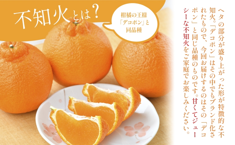 不知火（デコポン同品種） 約5kg 日本フルーツ株式会社 熊本県 長洲町 《2026年1月下旬-2月末頃出荷予定》 デコポン 果物 秀品 フルーツ スイーツ デザート ギフト ご贈答