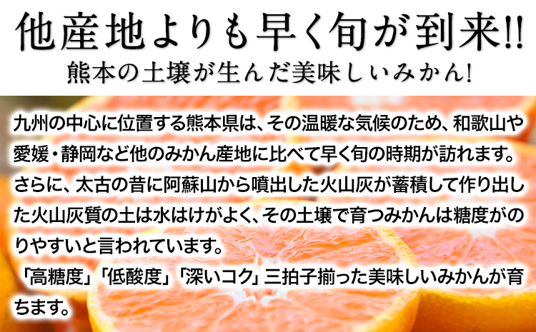 ご家庭用 熊本 大粒みかん 約5kg (3L～5Lサイズ)大玉 みかん 先行予約 熊本 ちょっと 訳あり 傷 たっぷり 熊本県産 熊本県 期間限定 フルーツ 旬 柑橘 長洲町 大粒みかん《2025年1月中旬-2月末頃より出荷予定》