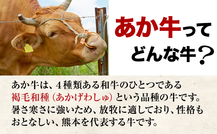 【6ヶ月定期便】 【希少和牛】ハンバーグ 熊本県産 あか牛ハンバーグ 150g × 10個 長洲501 《お申込み月の翌月から出荷開始》定期 計6回お届け 熊本県 長洲町 送料無料 牛肉 肉 あか牛 定期便