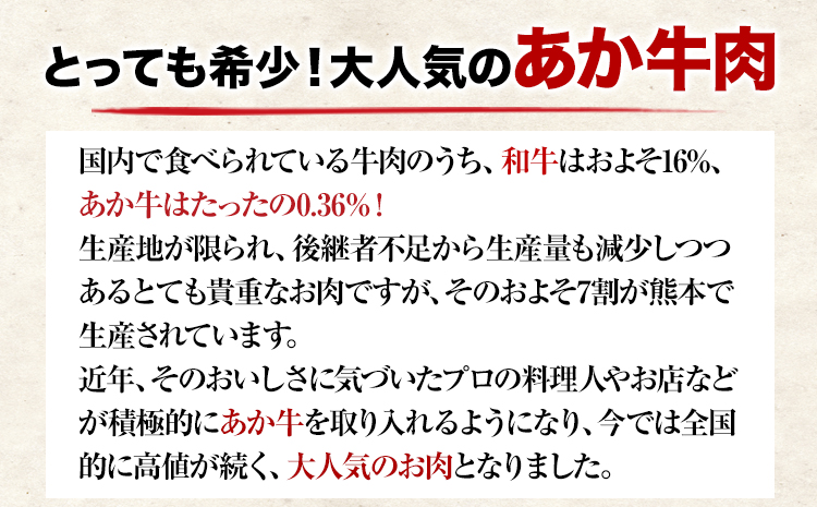 【6ヶ月定期便】 【希少和牛】ハンバーグ 熊本県産 あか牛ハンバーグ 150g × 10個 長洲501 《お申込み月の翌月から出荷開始》定期 計6回お届け 熊本県 長洲町 送料無料 牛肉 肉 あか牛 定期便